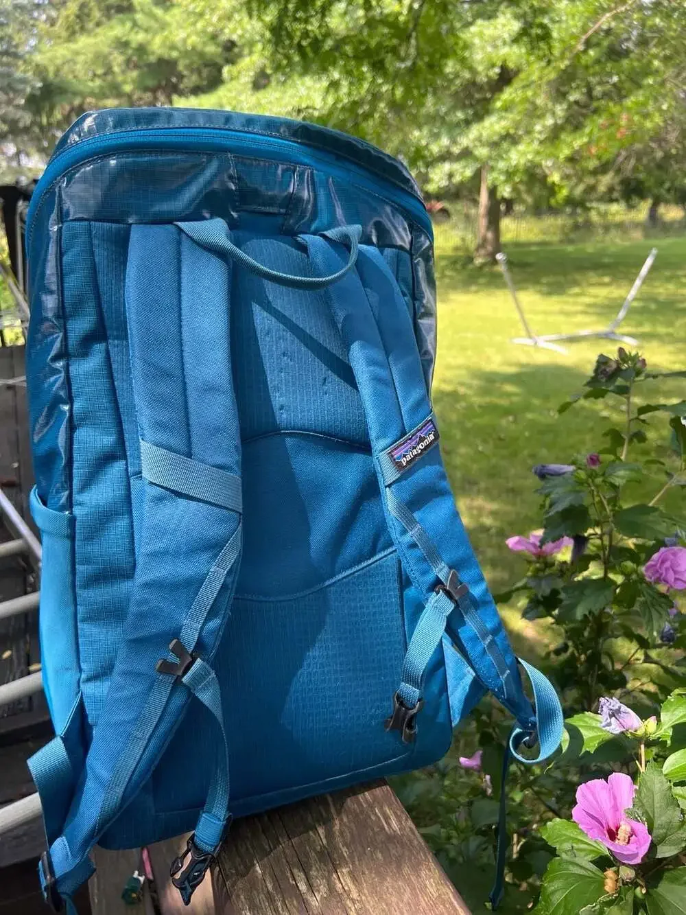 Patagonia Black Hole Pack 25L Blue Backpack